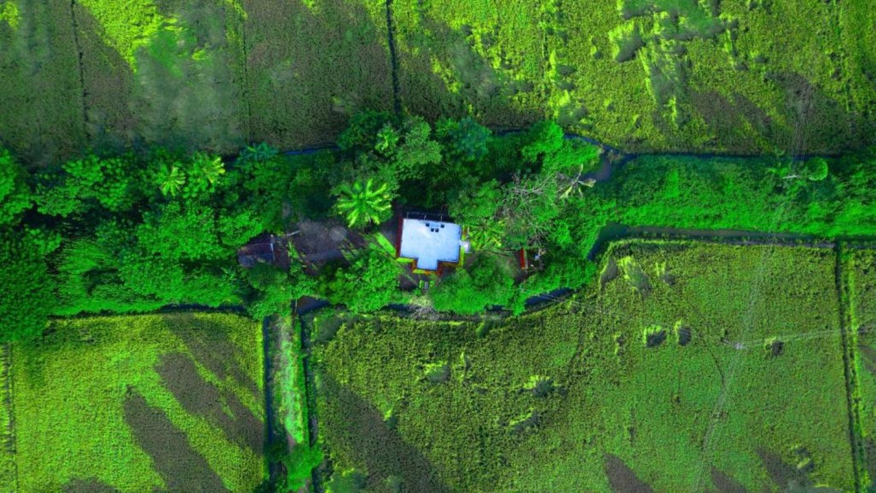 Photo of Outdoor in Alappuzha
