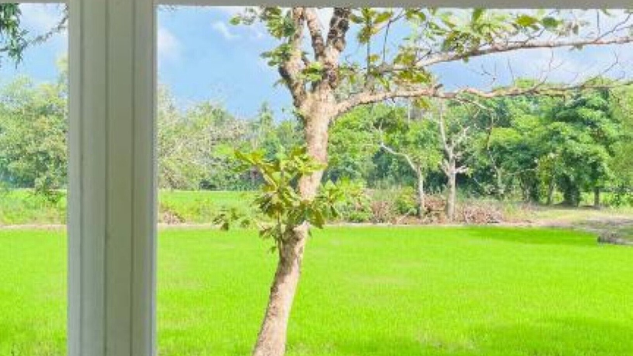 Photo of Outdoor in Alappuzha