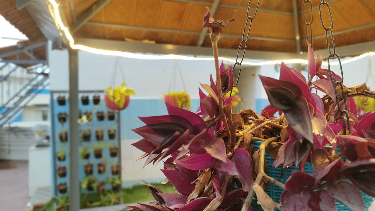 Photo of Outdoor in Agara