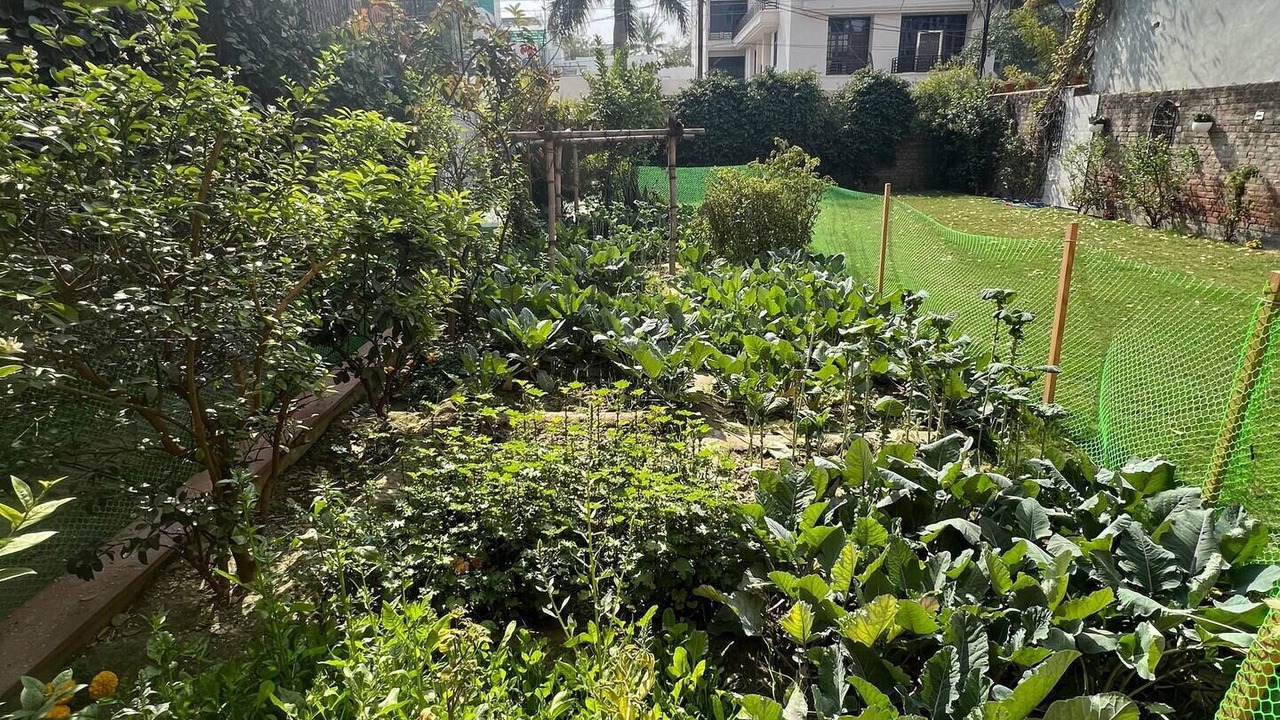 Photo of Outdoor in Noida
