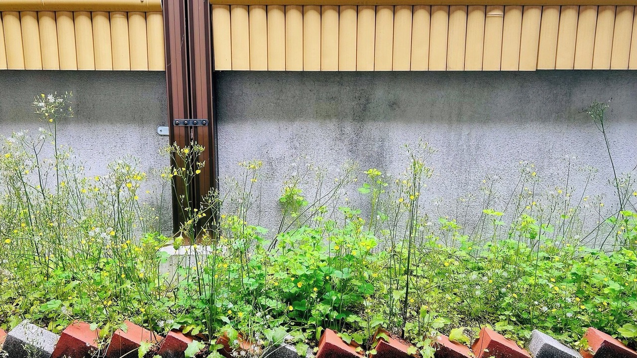 Photo of Outdoor in Fushimi