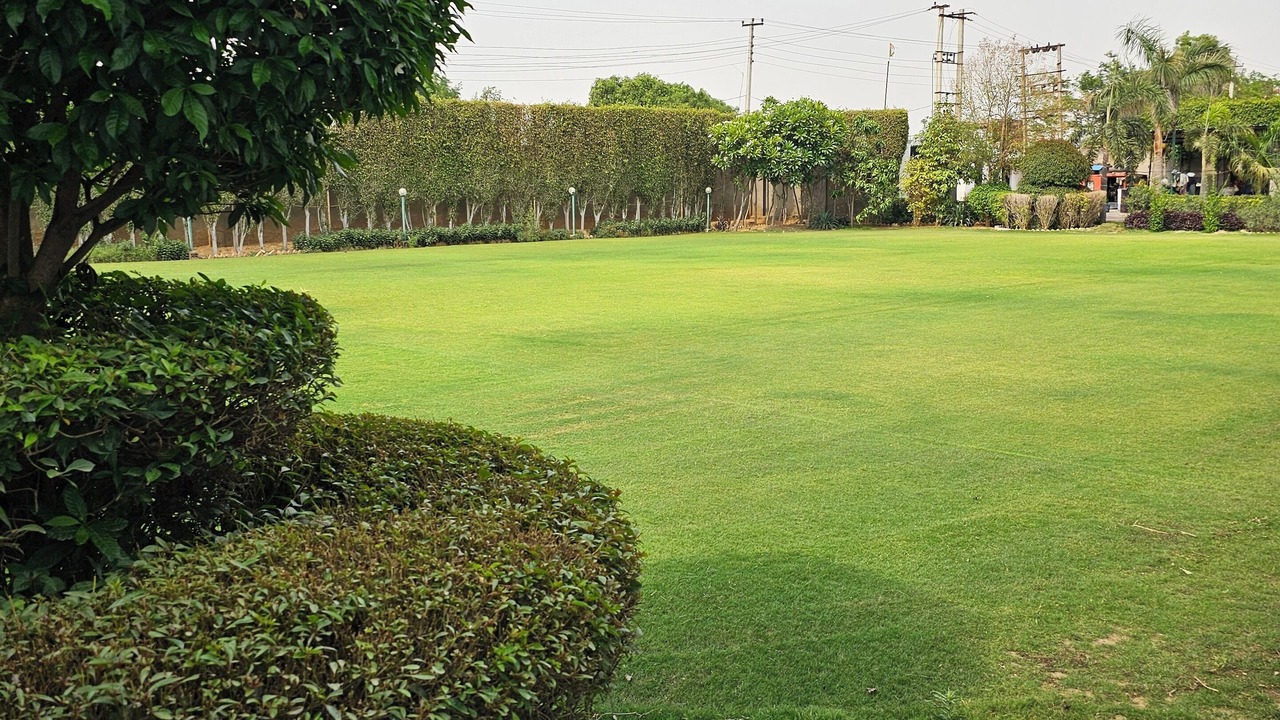 Photo of Outdoor in Gurugram