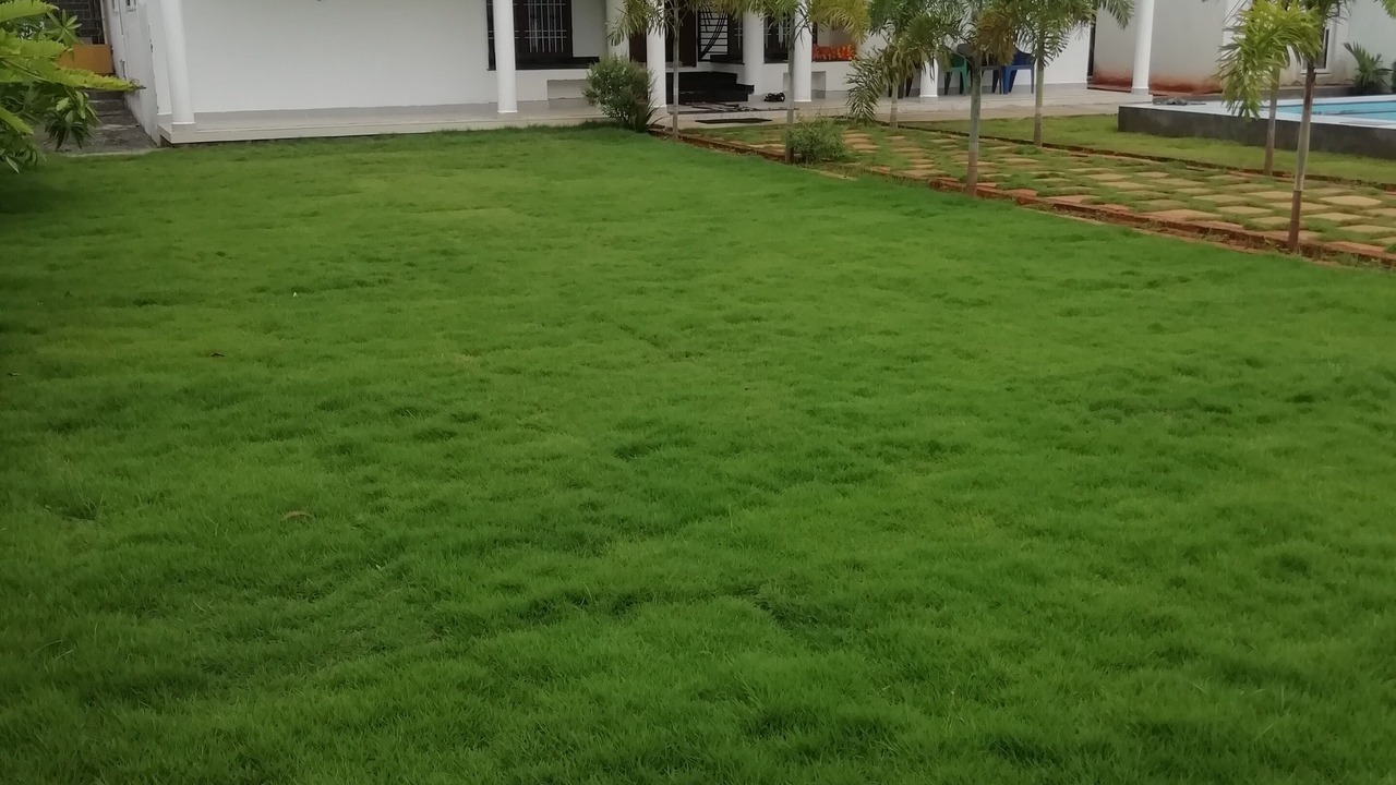 Photo of Outdoor in Marie Oulgaret