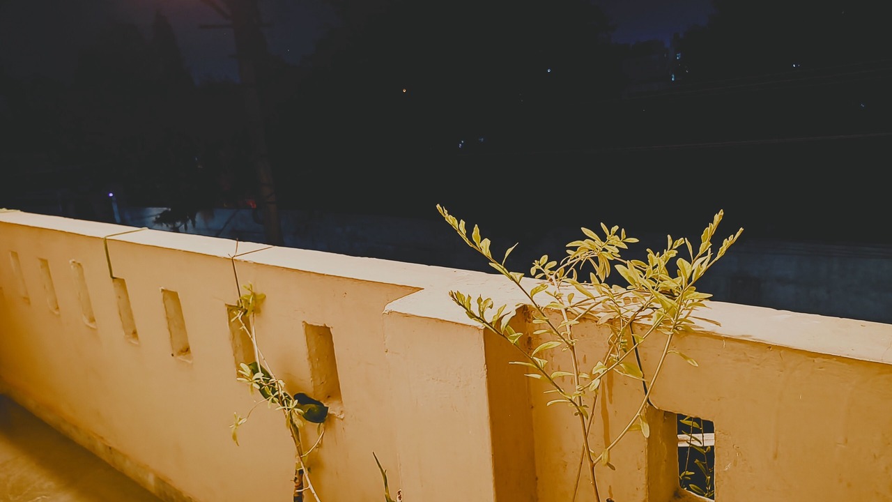 Photo of Outdoor in Bedla