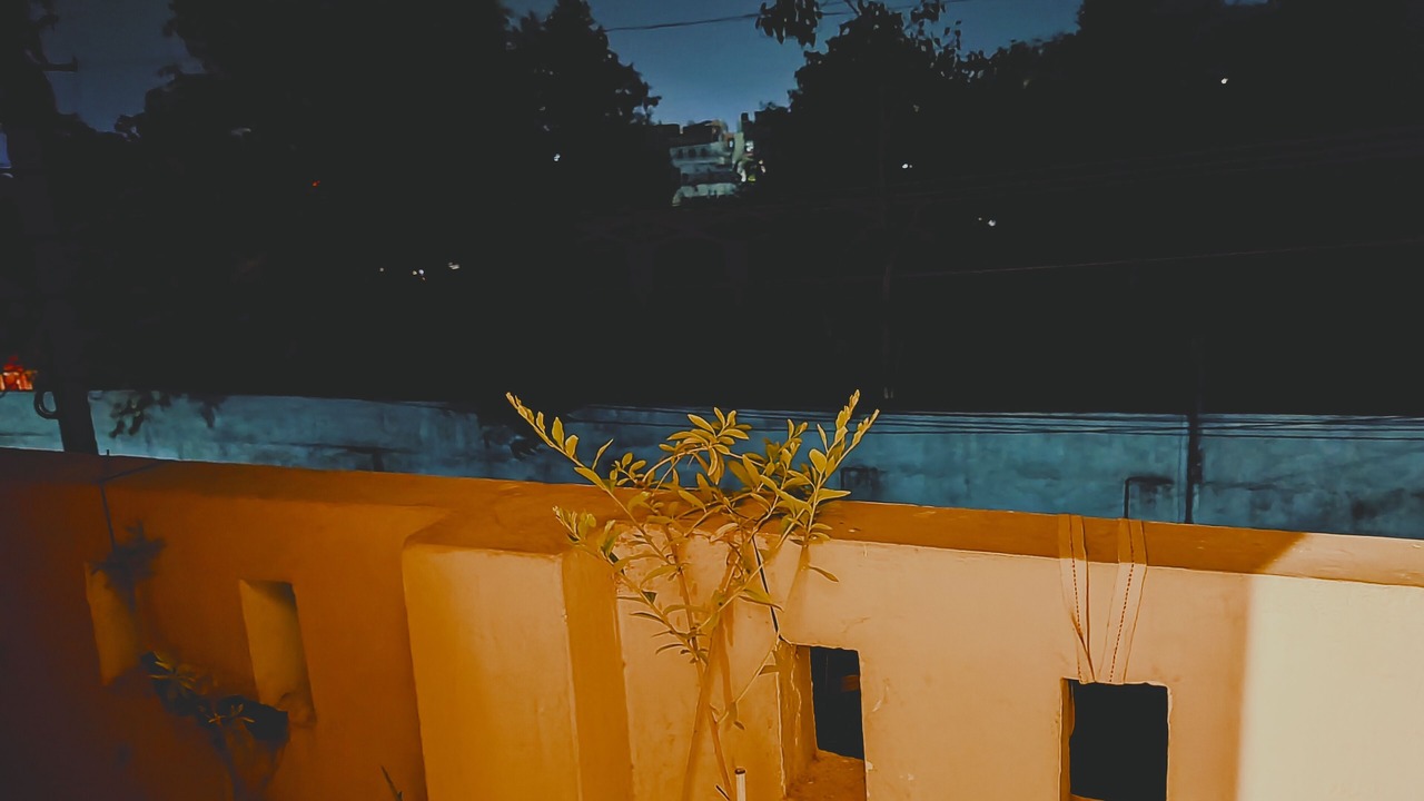 Photo of Outdoor in Bedla