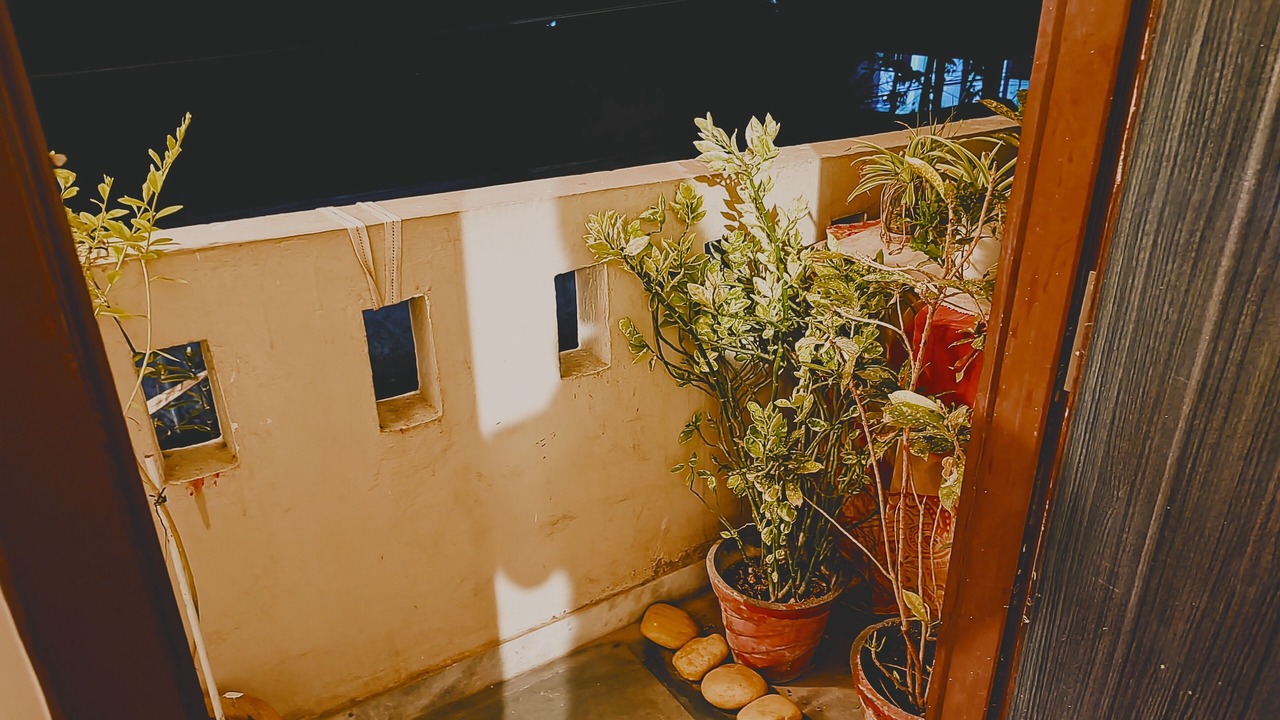 Photo of Outdoor in Bedla