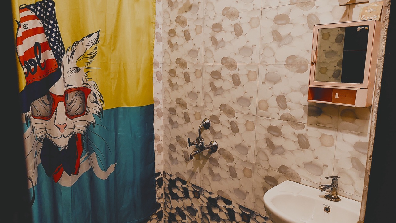 Photo of Bathroom in Bedla