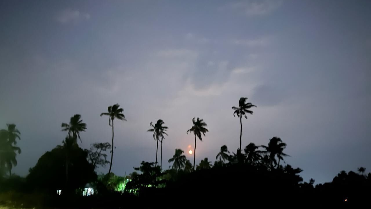 Photo of Others in Alappuzha