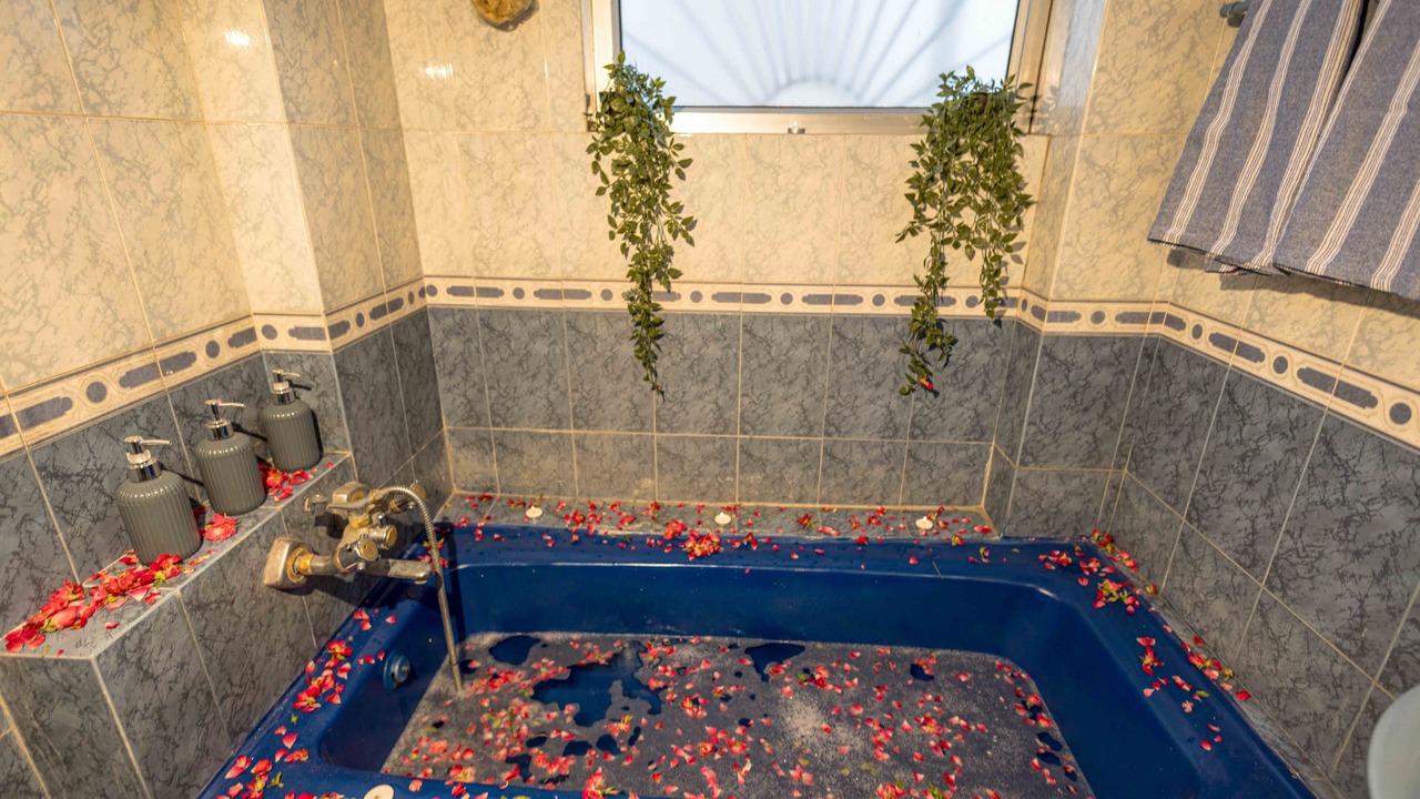 Photo of Bathroom in Malviya Nagar