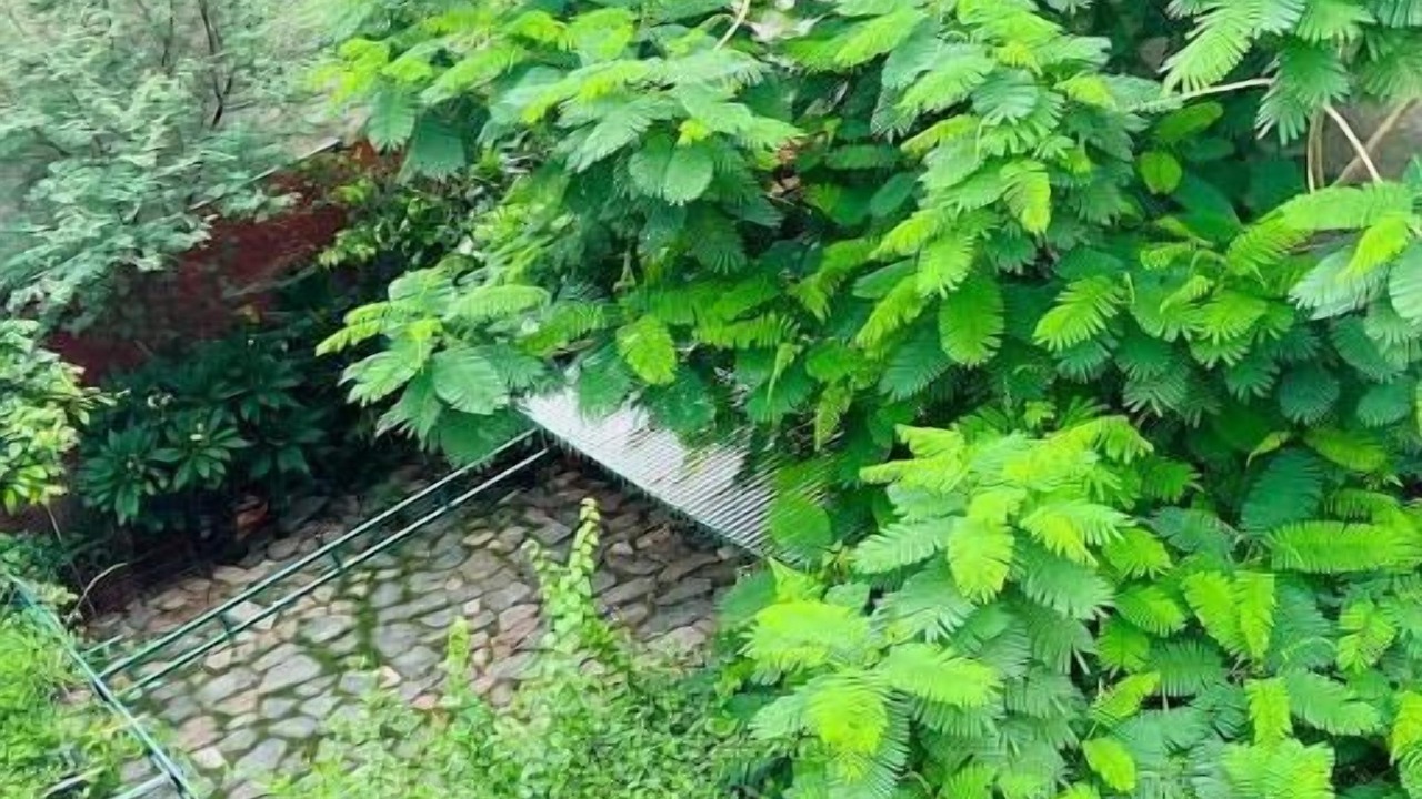 Photo of Outdoor in Amer