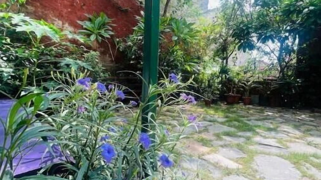 Photo of Outdoor in Amer