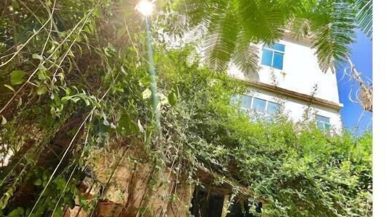 Photo of Outdoor in Amer