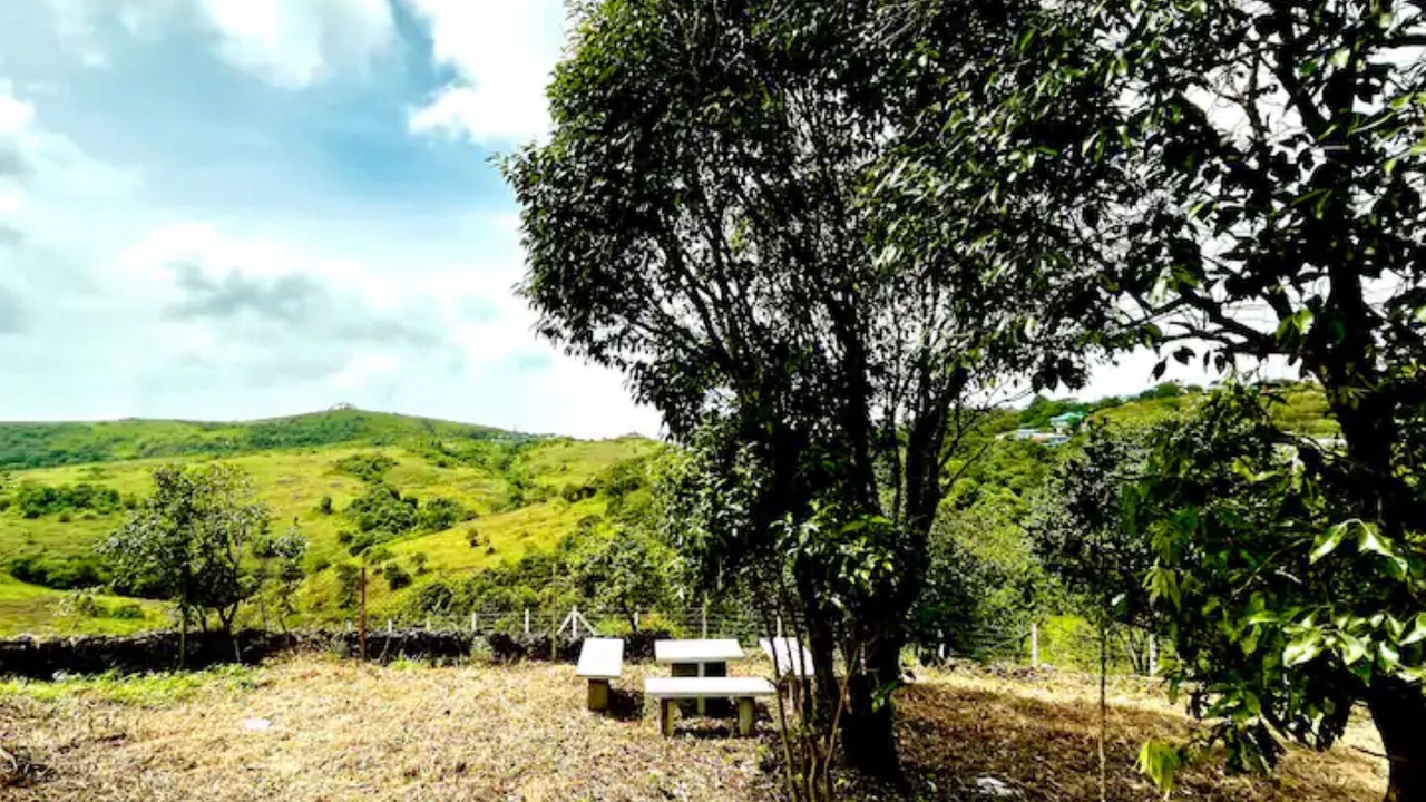 Photo of Outdoor in Kuttikkanam
