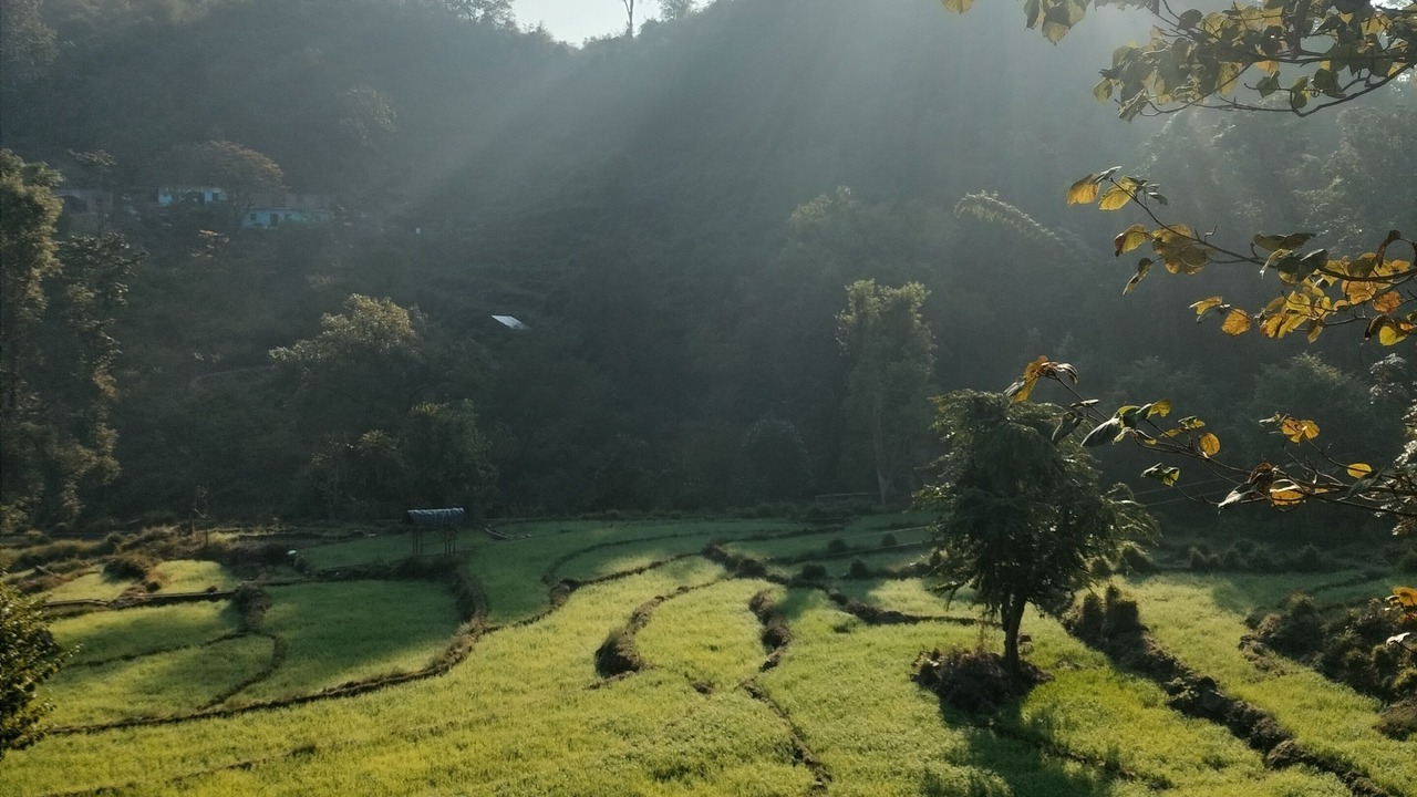 Photo of Others in Sirala