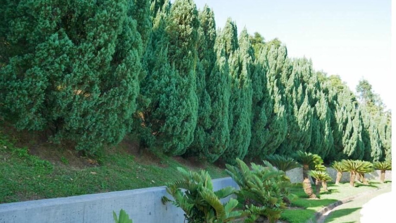 Photo of Outdoor in Putrajaya
