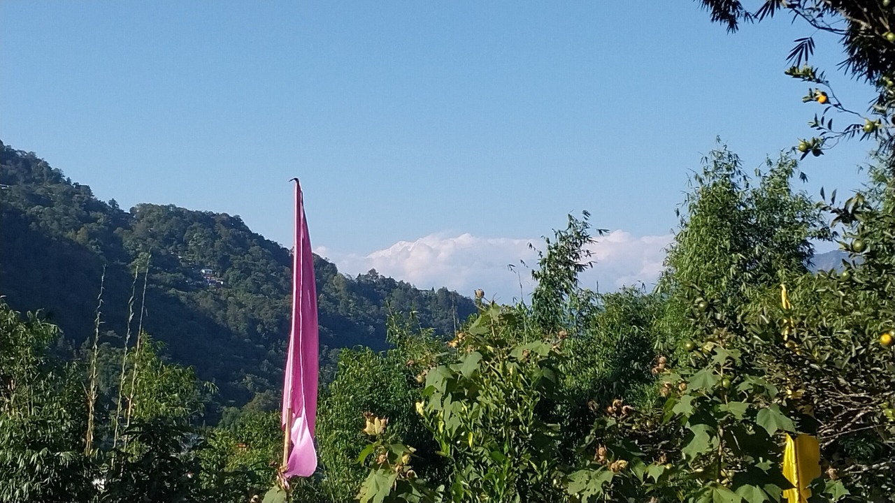 Photo of Others in Turuk