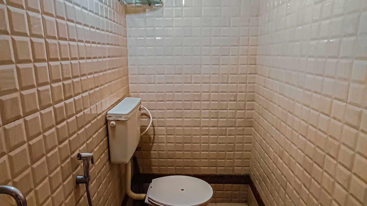 Photo of Bathroom in Gauravaddo