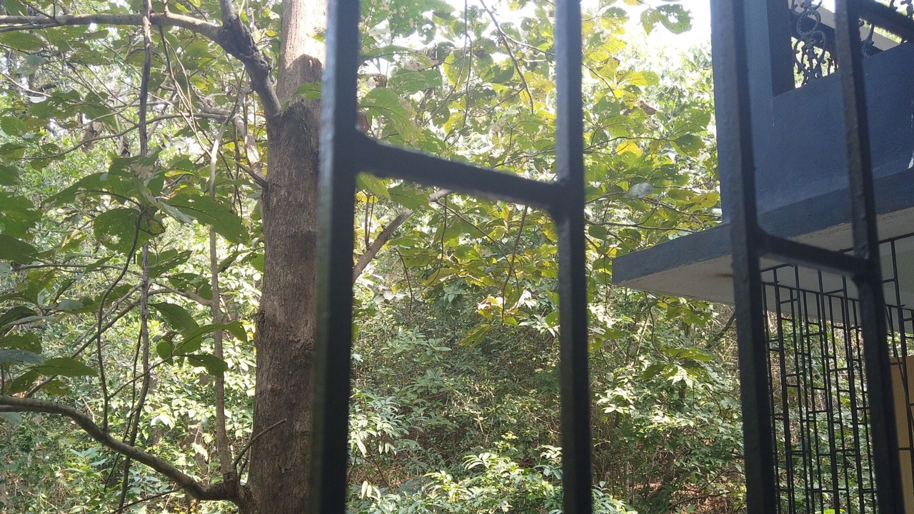 Photo of Outdoor in Bogmolo