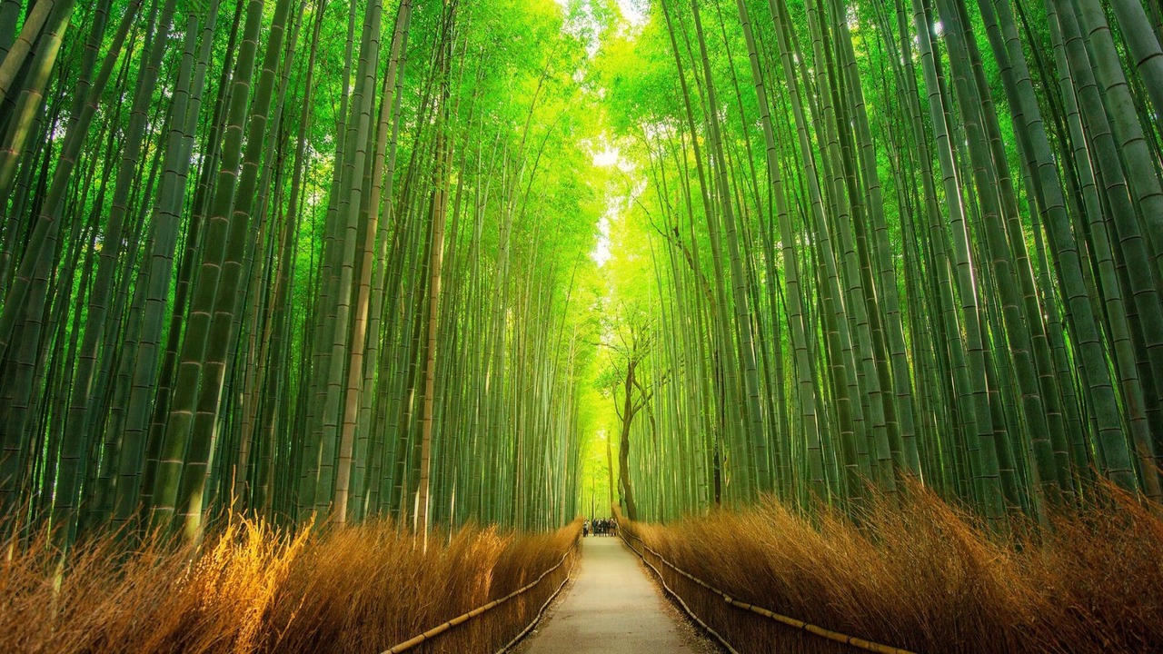 Photo of Outdoor in Shijo