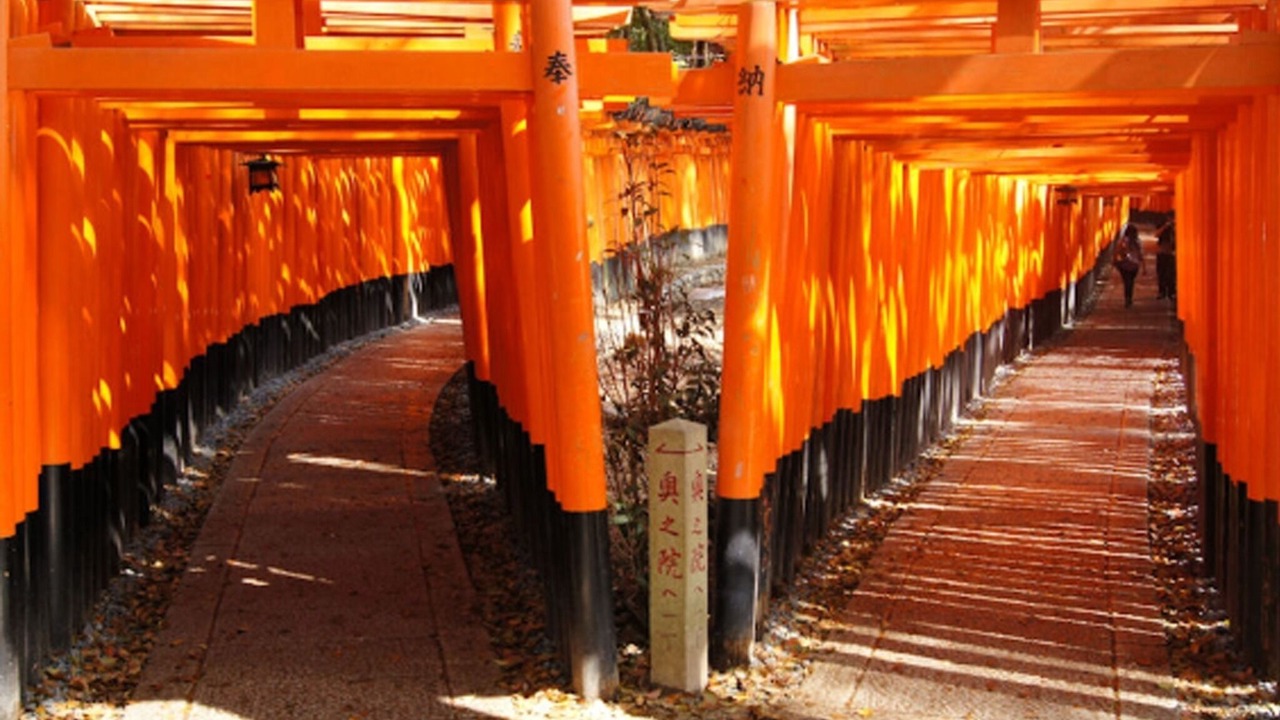 Photo of Outdoor in Shijo