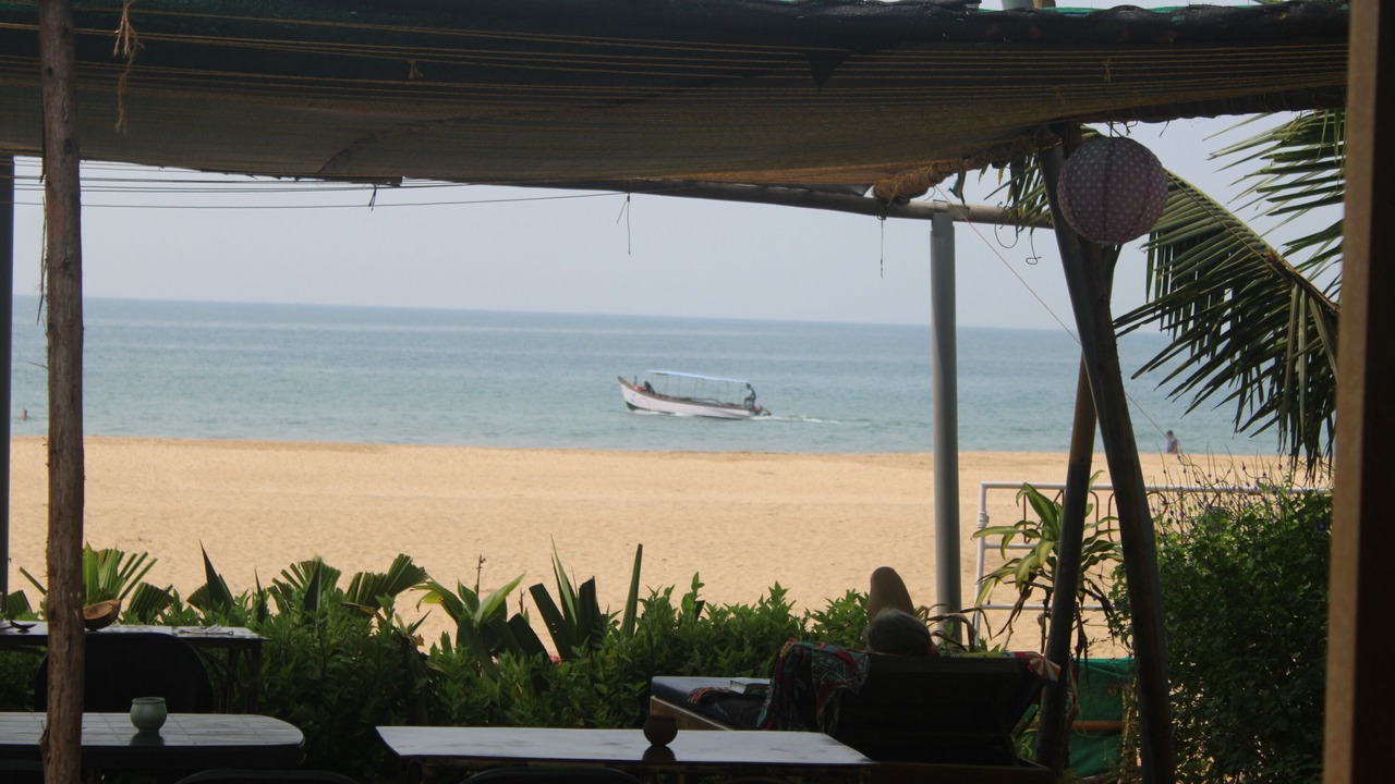 Photo of Others in Agonda