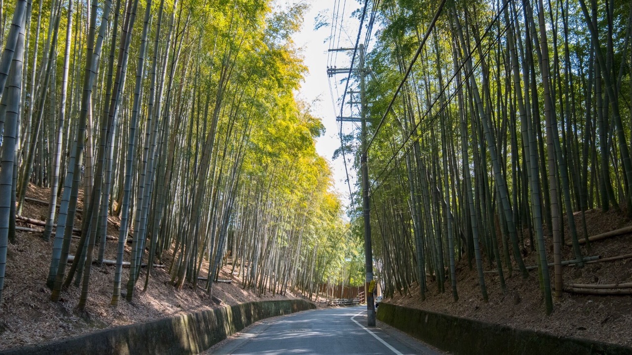 Photo of Outdoor in Fushimi