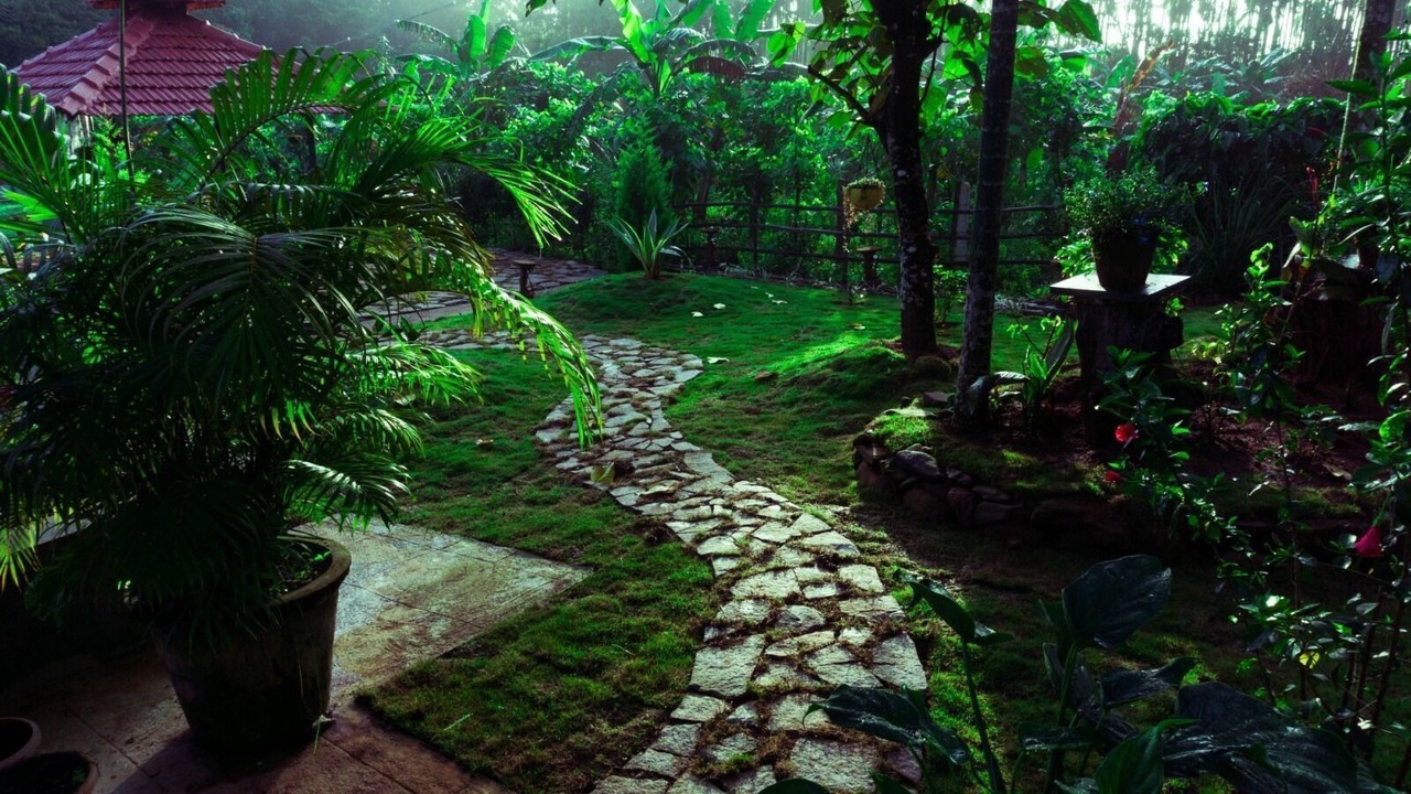 Photo of Outdoor in Sakleshpur