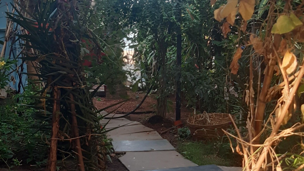 Photo of Outdoor in Agonda