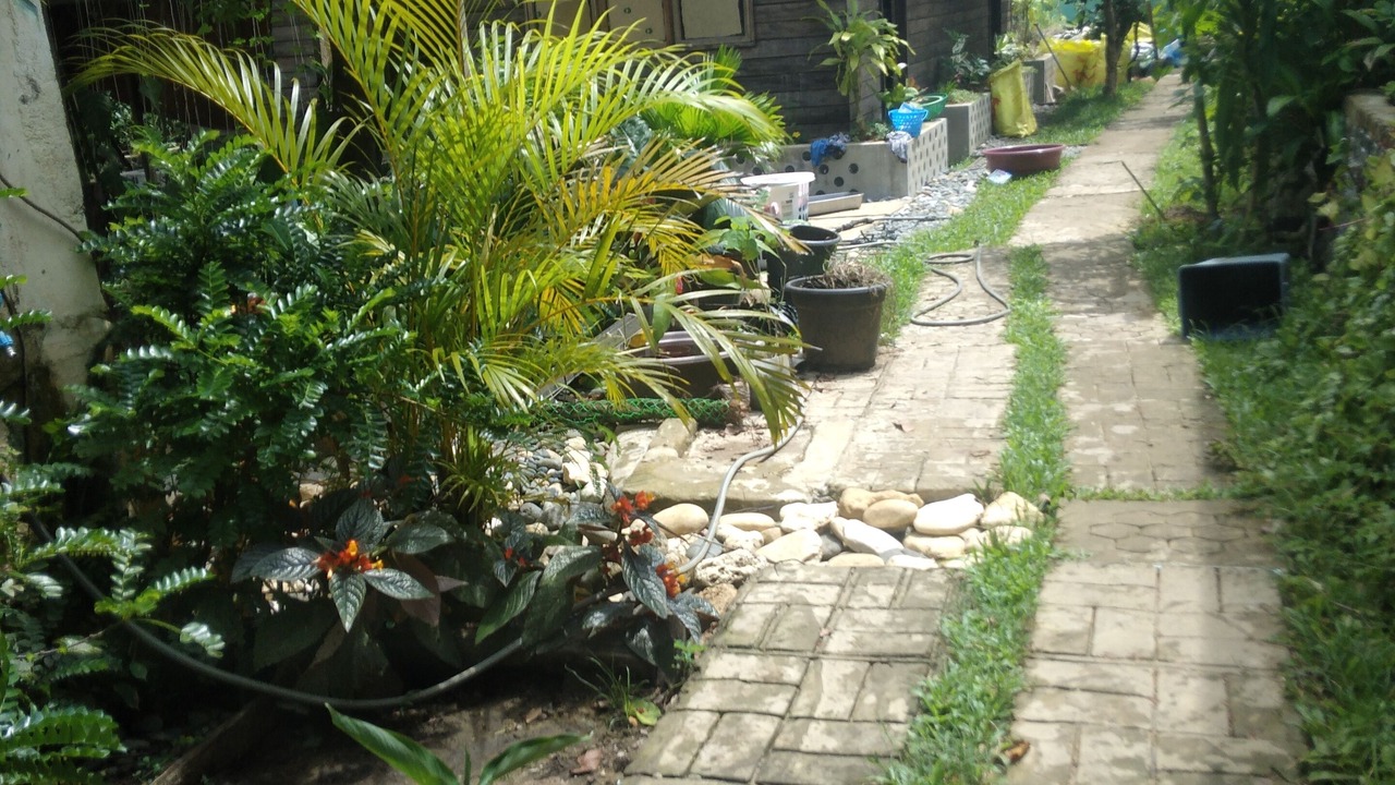 Photo of Others in Bayawan City