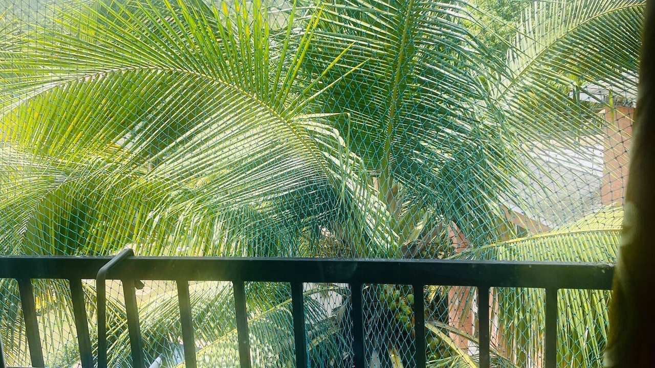 Photo of Outdoor in Arpora