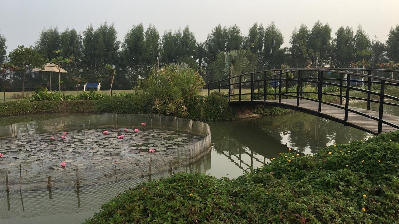 Photo of Outdoor in Sanand