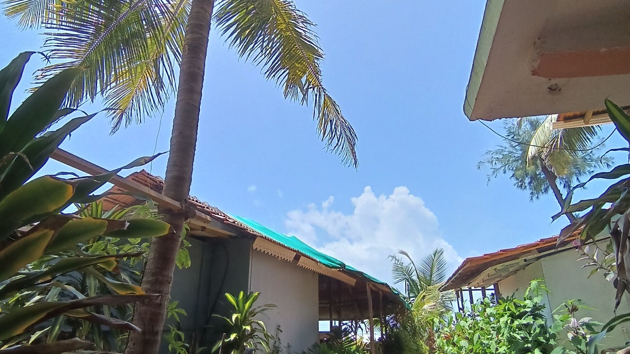 Photo of Outdoor in Agonda