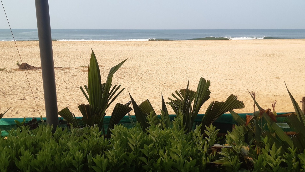 Photo of Others in Agonda