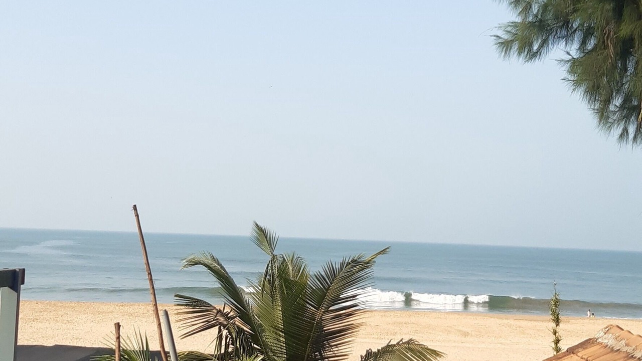 Photo of Others in Agonda
