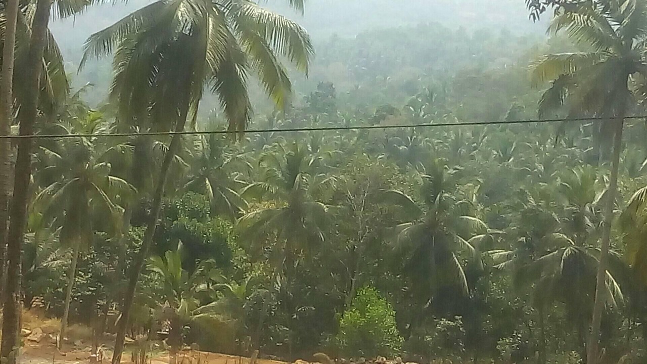 Photo of Outdoor in Kulanada