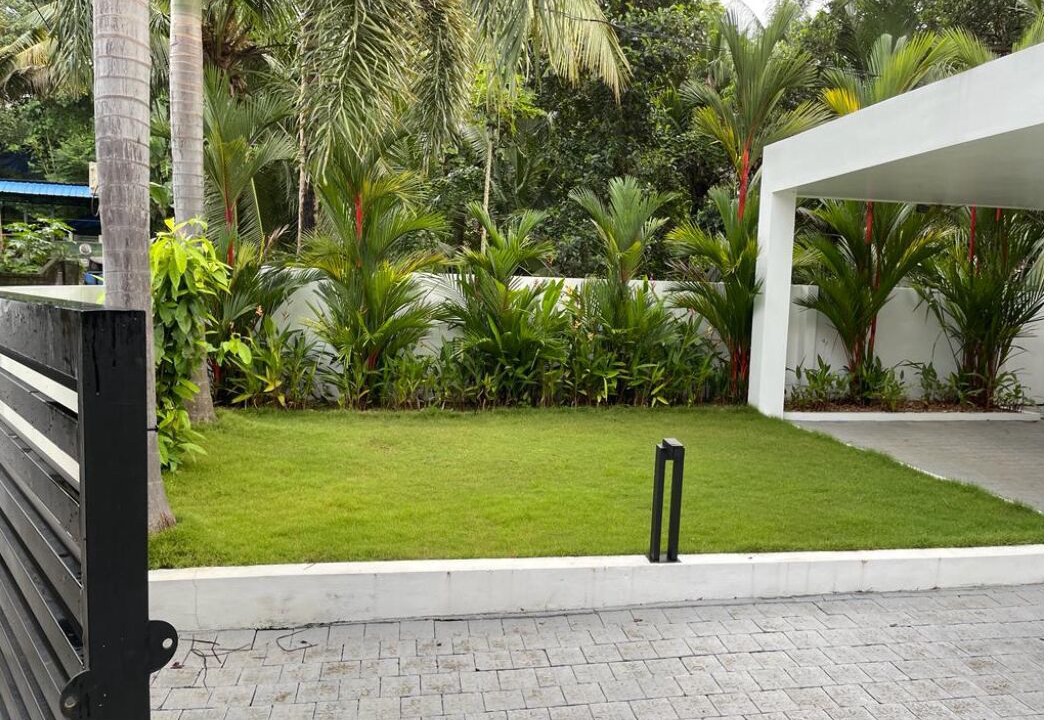 Photo of Outdoor in Thiruvananthapuram