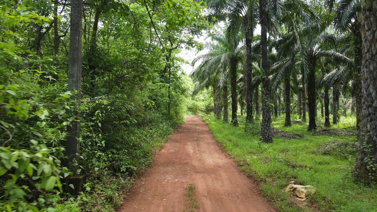 Photo of Outdoor in Kulem
