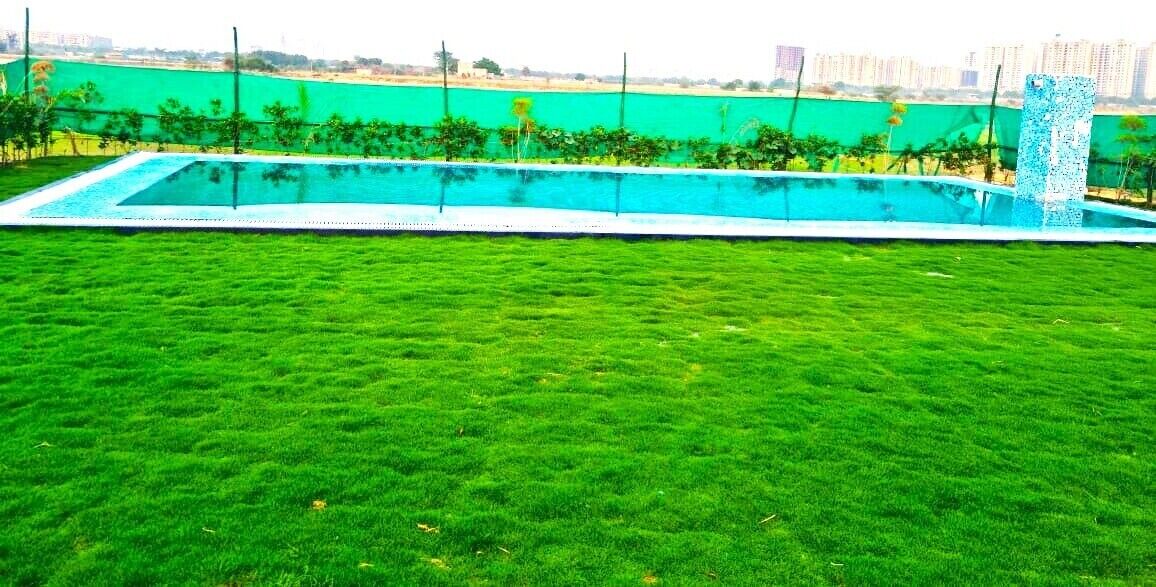 Photo of Outdoor in Noida