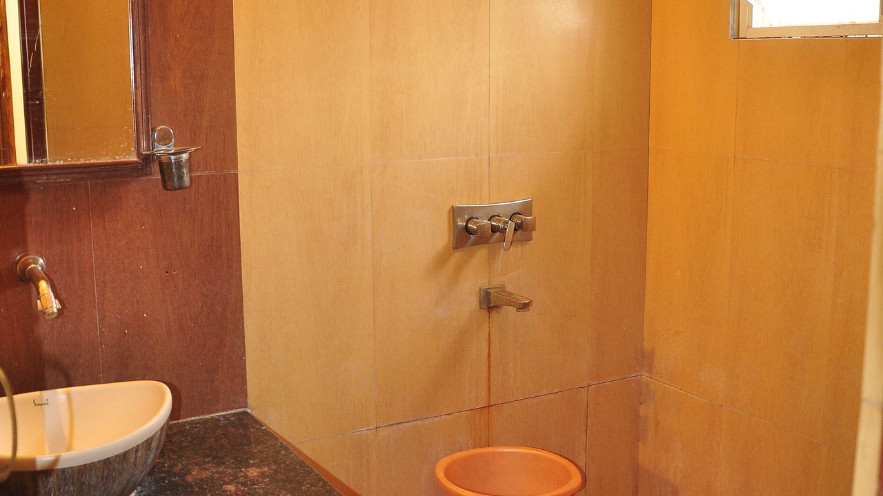 Photo of Bathroom in Rau