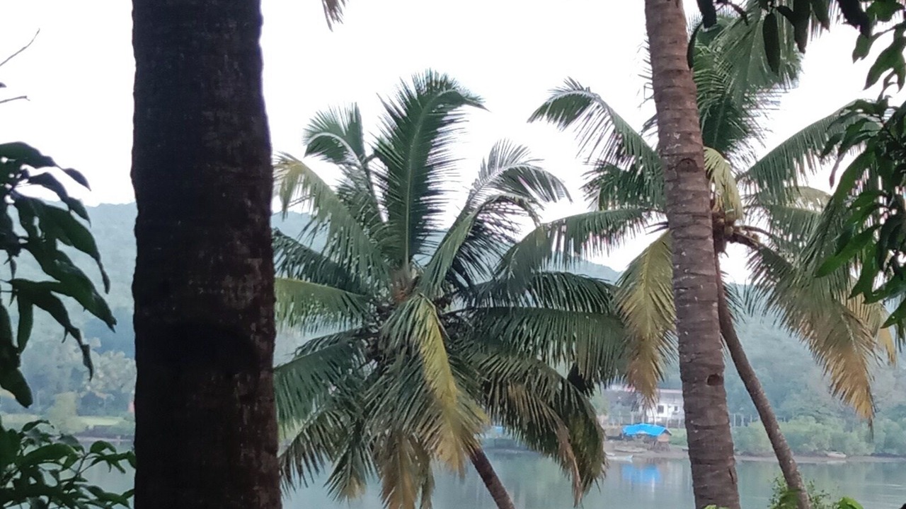 Photo of Others in Siolim