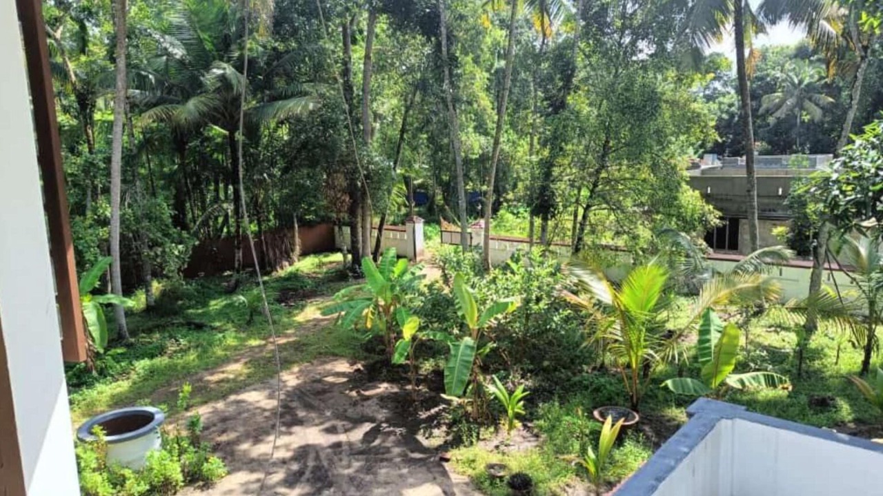 Photo of Outdoor in Pattanakkad