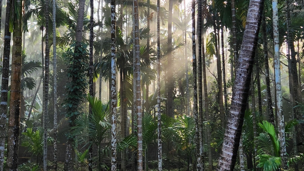 Photo of Outdoor in Ponda