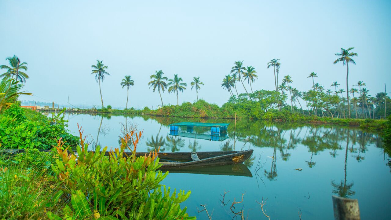 Photo of Outdoor in Kumbalangi