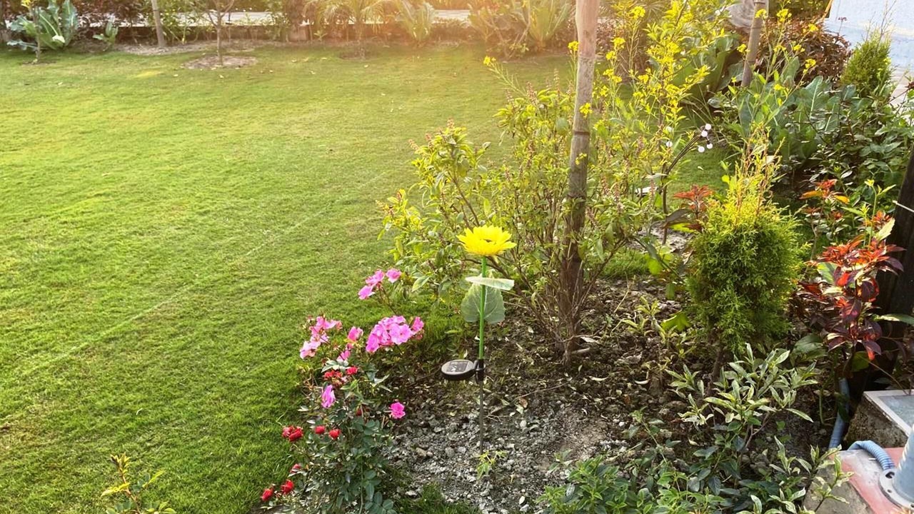 Photo of Outdoor in Noida