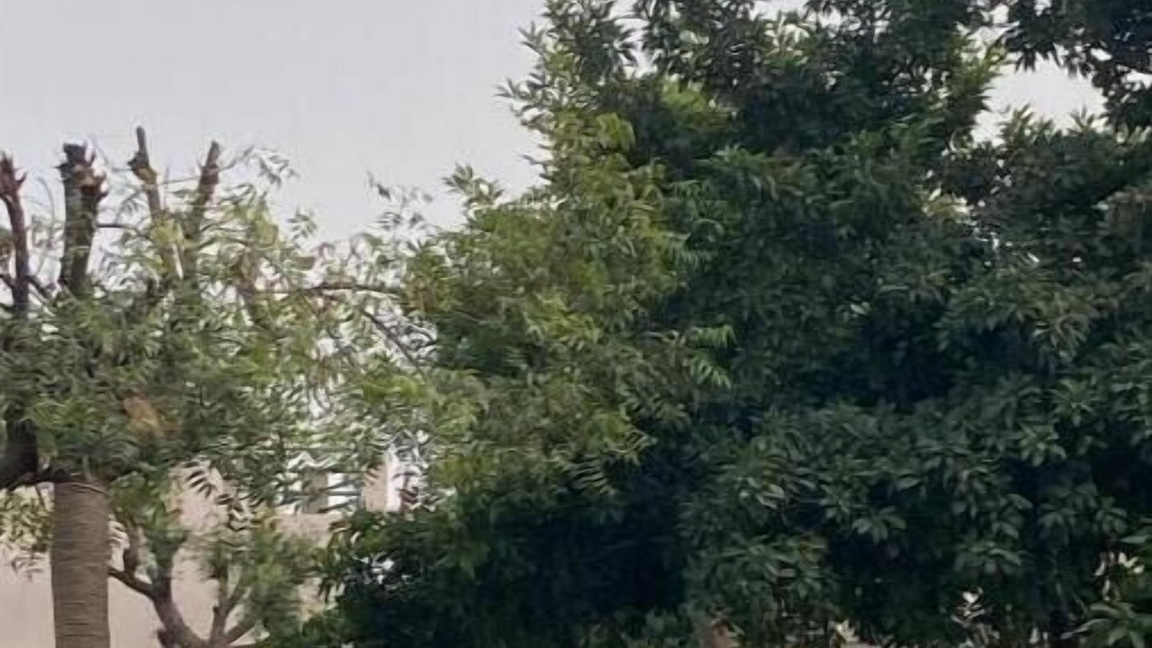 Photo of Outdoor in Sanganer