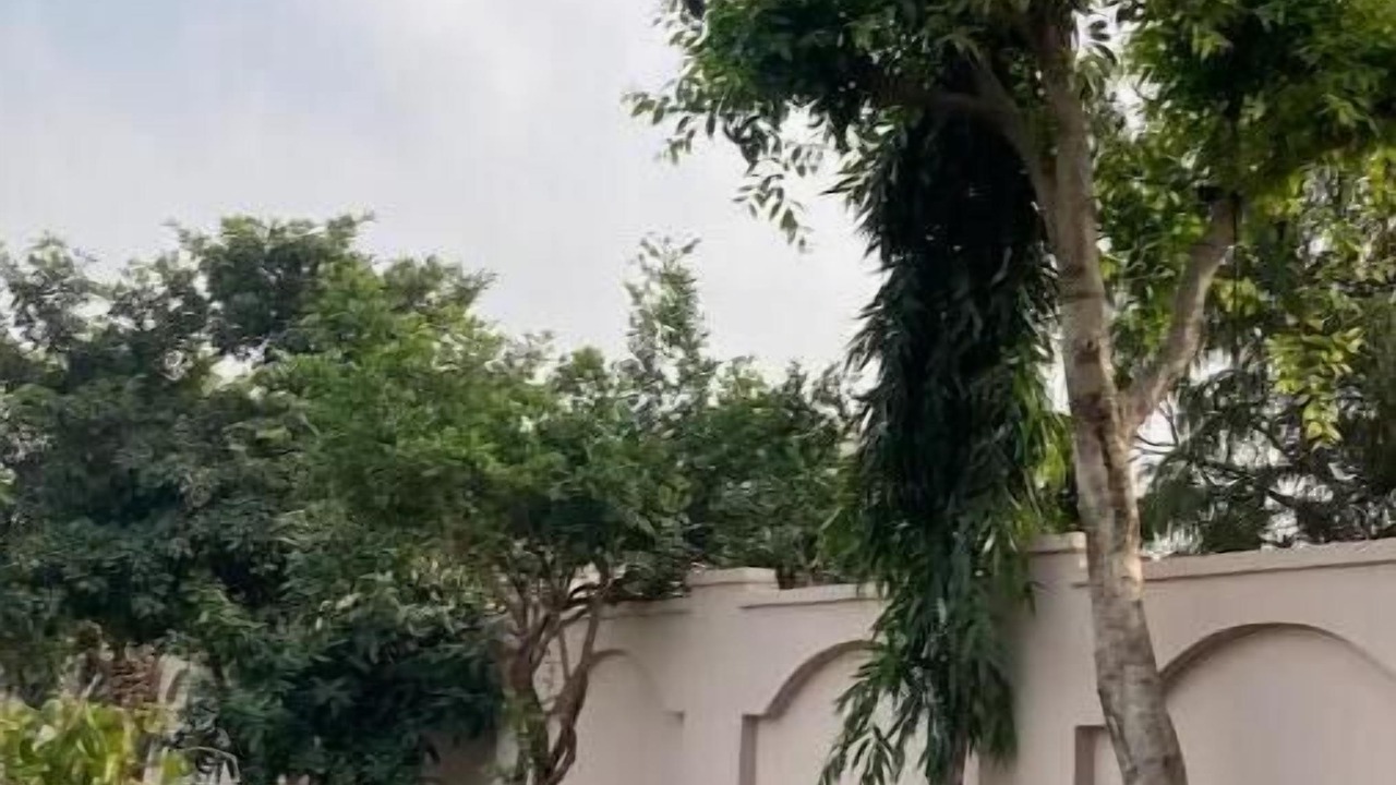 Photo of Outdoor in Sanganer