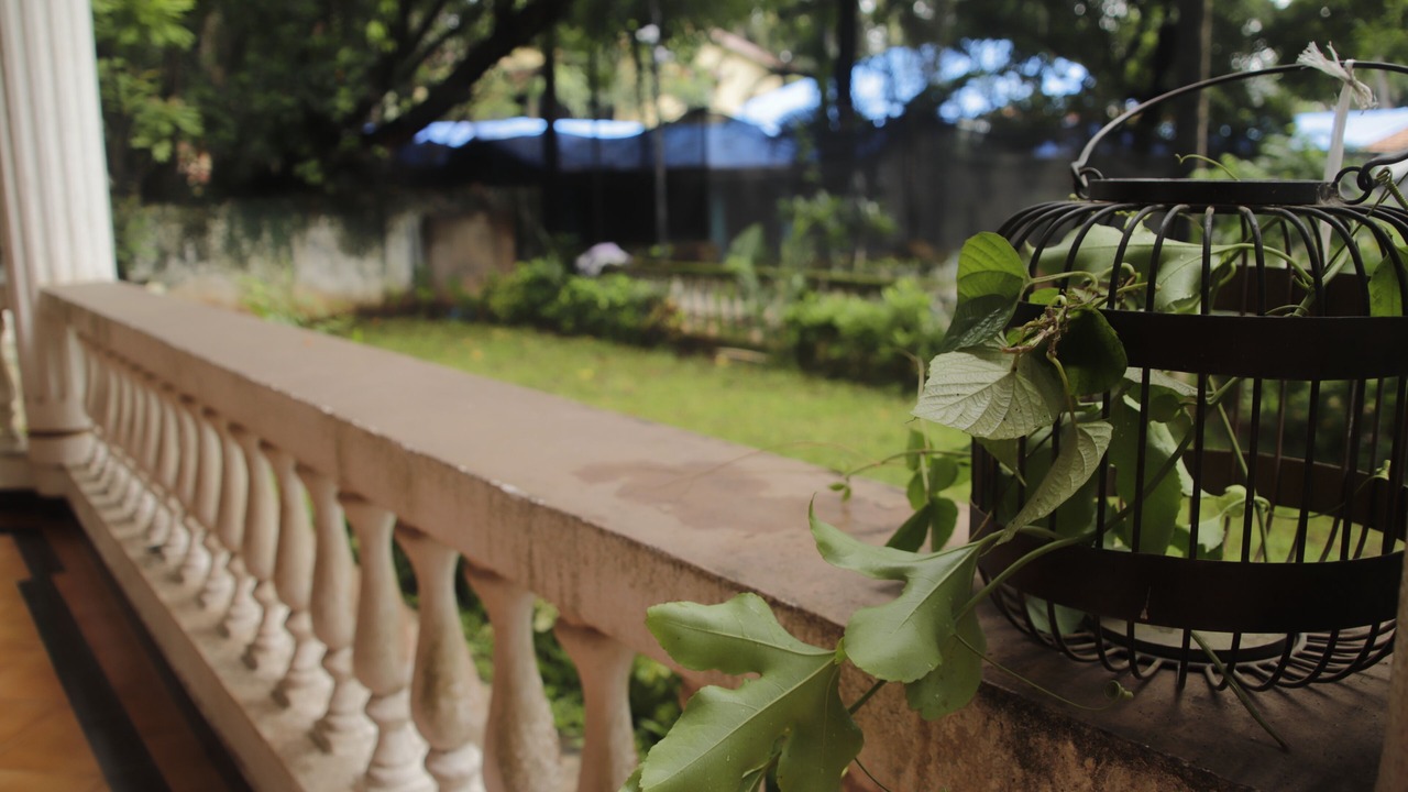 Photo of Outdoor in Parra