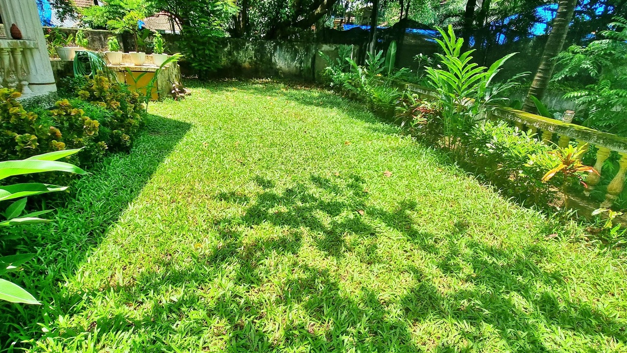 Photo of Outdoor in Parra
