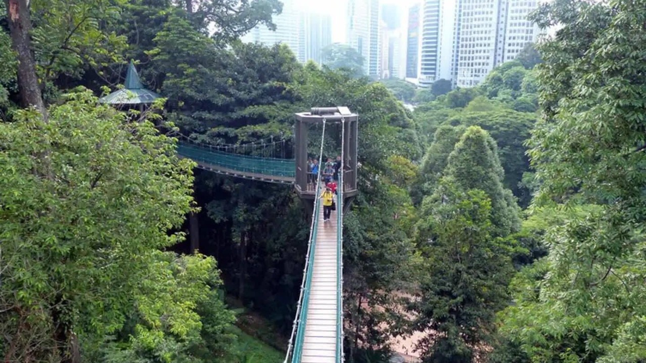 Photo of Others in Damansara Perdana