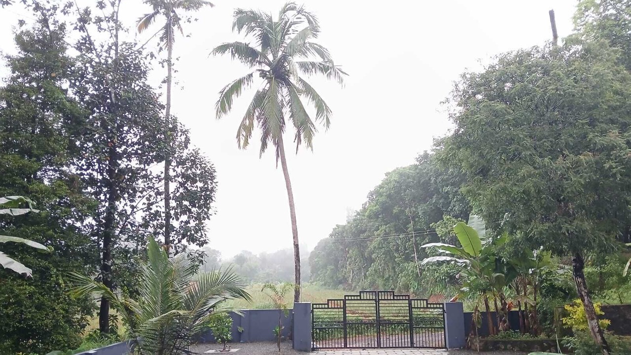 Photo of Outdoor in Muvattupuzha